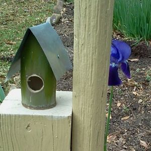 Meet your Posher, Candace